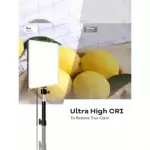 10 İnç LED Halka Işık Ayarlanabilir Tripod Standı (110cm) ve Telefon Tutucu ile