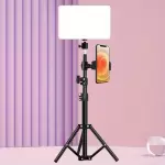 10 İnç LED Halka Işık Ayarlanabilir Tripod Standı (110cm) ve Telefon Tutucu ile