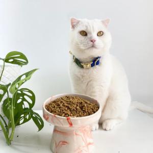 Seramik Kedi Mama Kabı